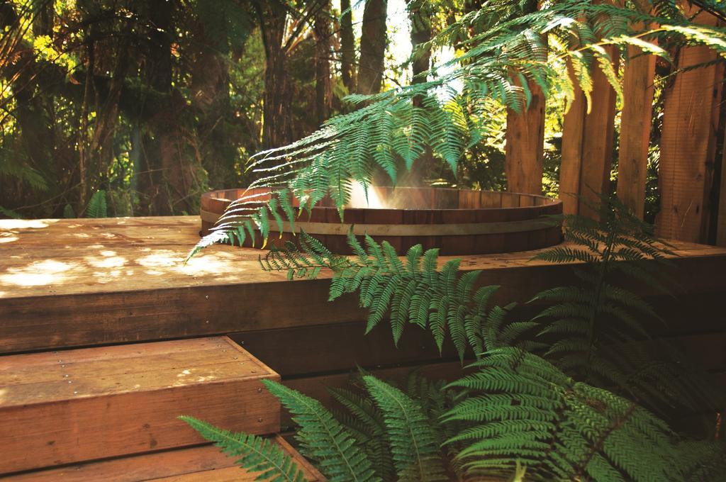 Treetops Lodge & Estate Роторуа Экстерьер фото